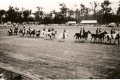 Margaret River Show Day