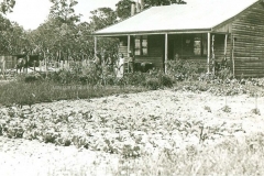 Group Settlement house