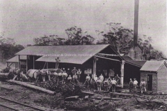 Boranup Timber Mill