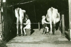 Hand-milking