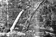 The swimming pool on the Margaret River