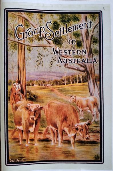 Group settlement in Western Australia book cover