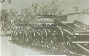 Cowaramup Siding, 1924. Carts lined up for distribution to Groups.