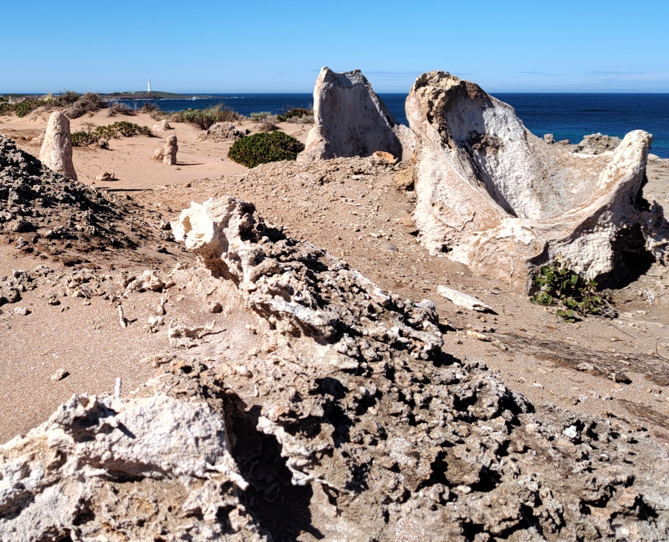 Skippy Rock Rhizoliths