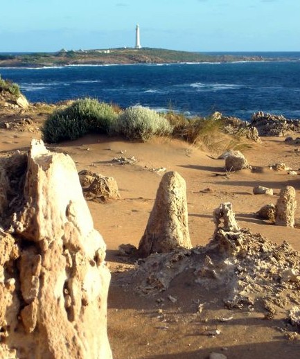 Rhizoliths near Leeuwin Lighthouse Augusta